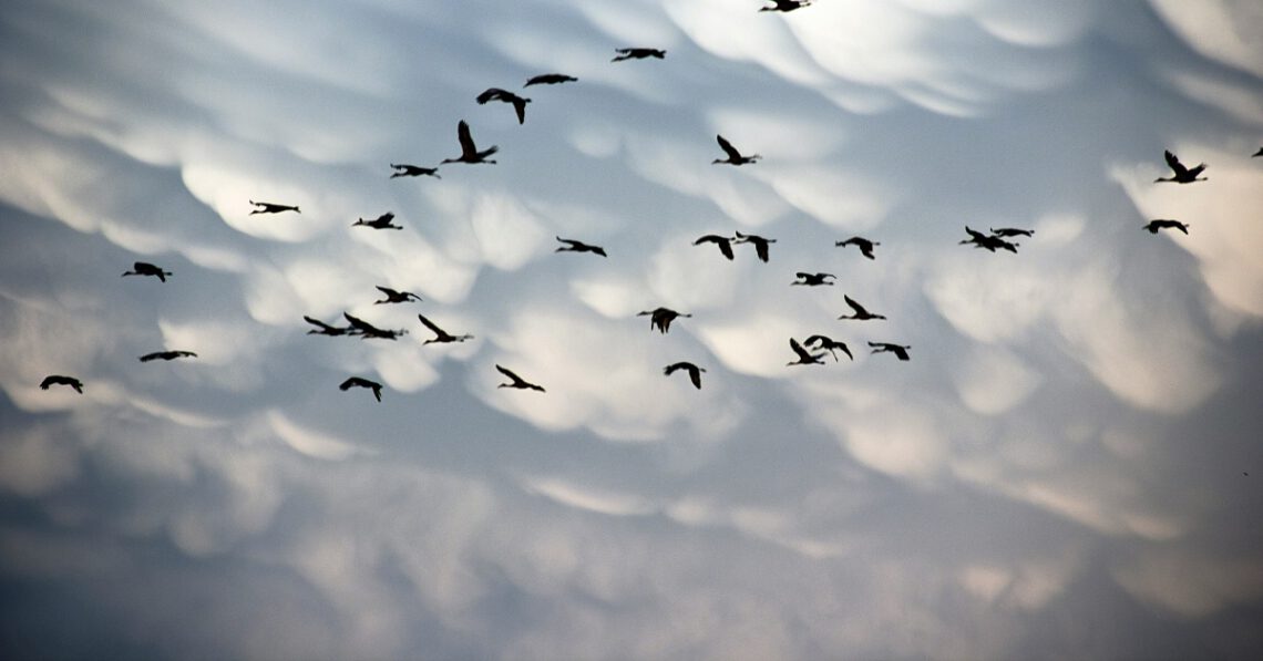 Modernize Your SSO Stack: Smarter Cloud Migration Starts Here