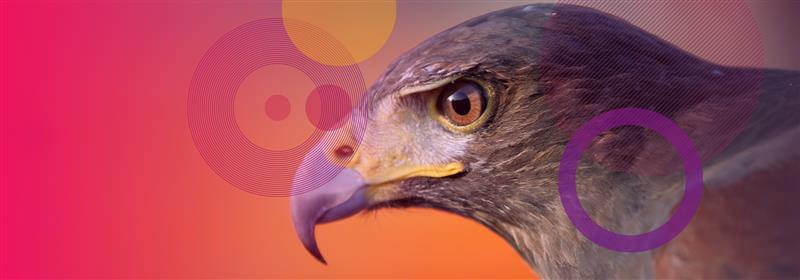 Inside Stealth Falcon’s Espionage Campaign Using a Microsoft Zero-Day