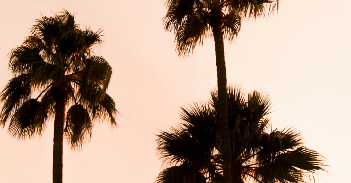 How to Make the Most of Hacker Summer Camp